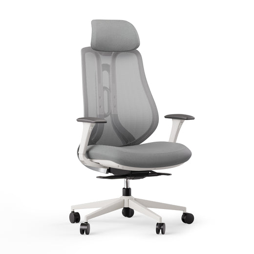 Ergonomická židle OmniSit Pro