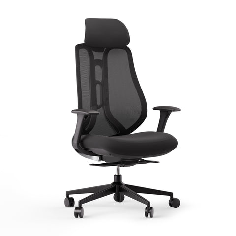 Ergonomická židle OmniSit Pro