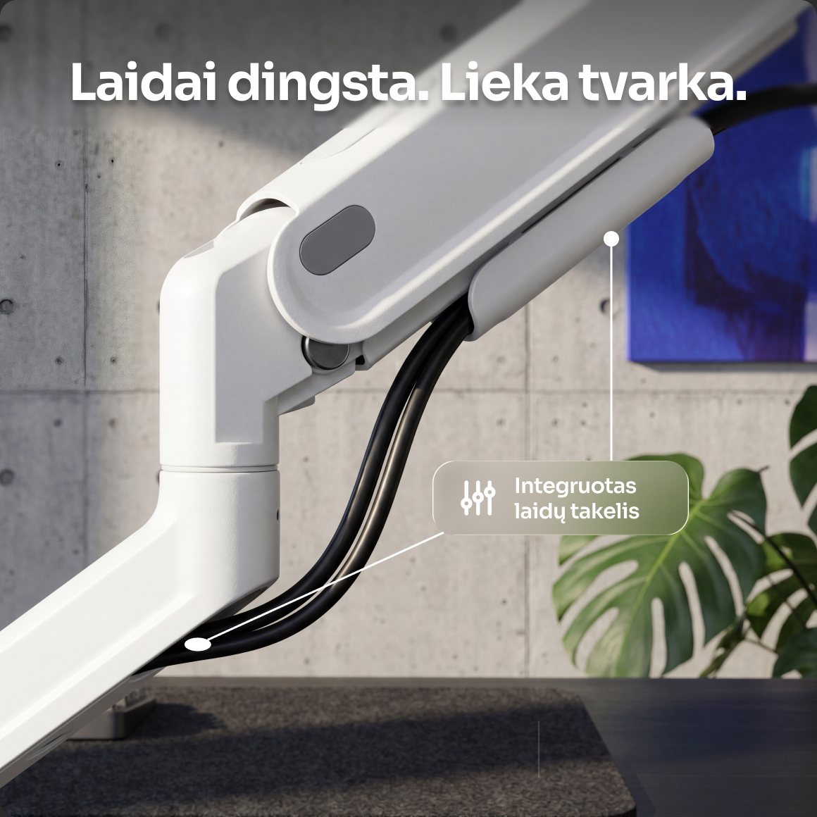 Laidai paslepiami integruotame takelyje
