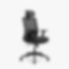 Another ergonomic chair (blurred)